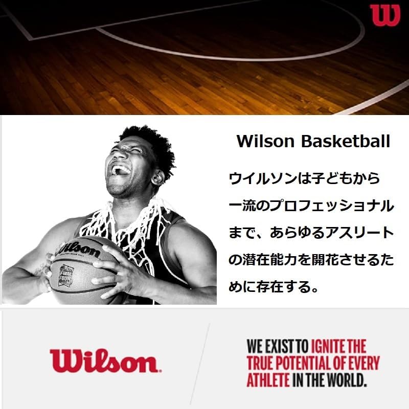 WILSON NBA Authentic Indoor Outdoor Basketball - Size 7-29.5", Brown