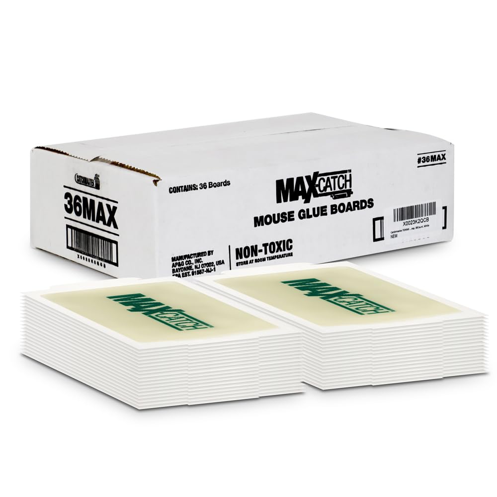 Pest Glue Trap by Catchmaster - 36 Boards Pre-Baited, Ready to Use Indoors. Rodent Mouse Rat Insect Sticky Adhesive Simple Easy Simple Non-Toxic - Made in The USA