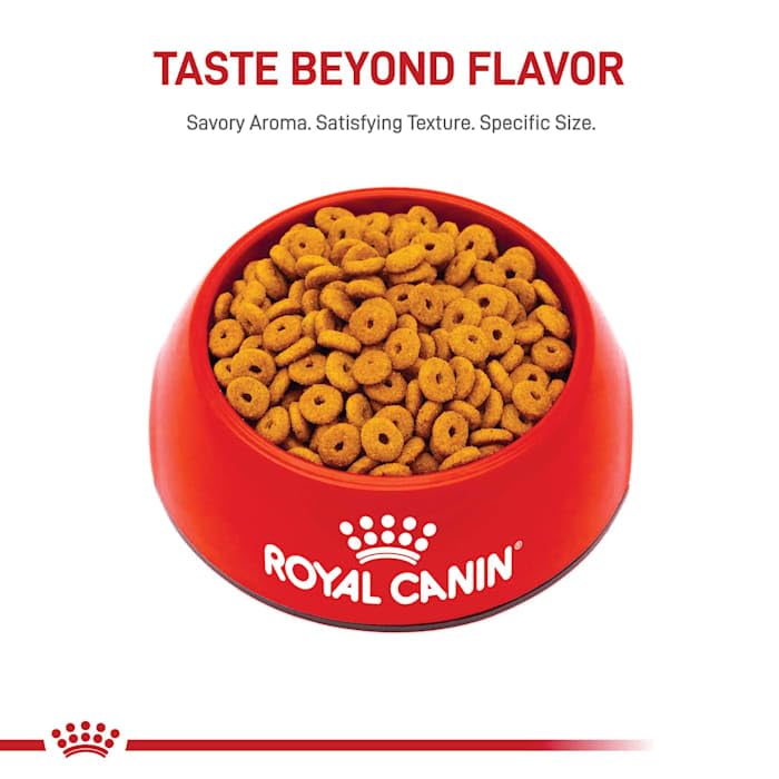 Royal Canin Feline Health Nutrition Spayed/Neutered Appetite Control Dry Cat Food, 2.5-Pound