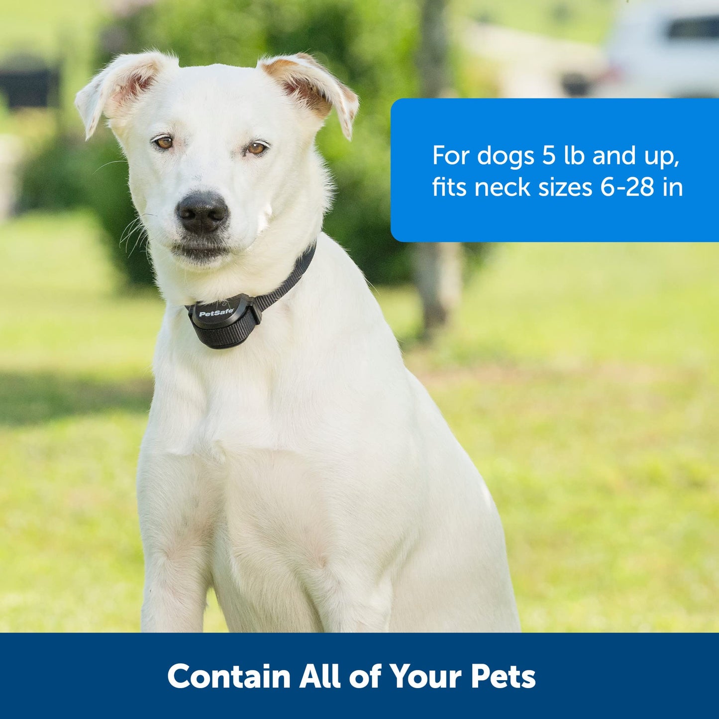PetSafe Stay & Play Compact Wireless Fence, LCD Screen to Adjust The Circular Boundary, Secure up to a 3,000 Square Metre Area, Use for All Your Pets, Portable System