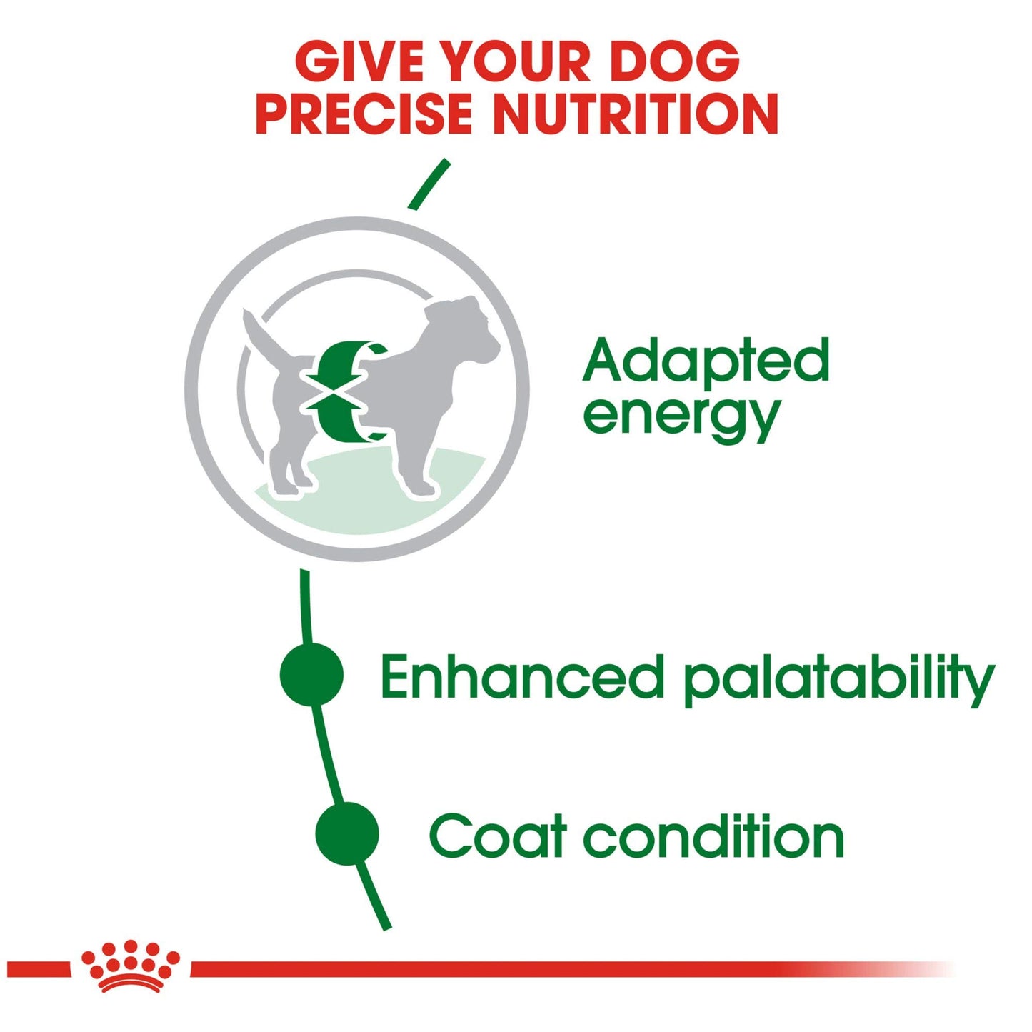 Royal Canin Size Health Nutrition Small Adult Dry Dog Food, 1.13 kg (Pack of 1)