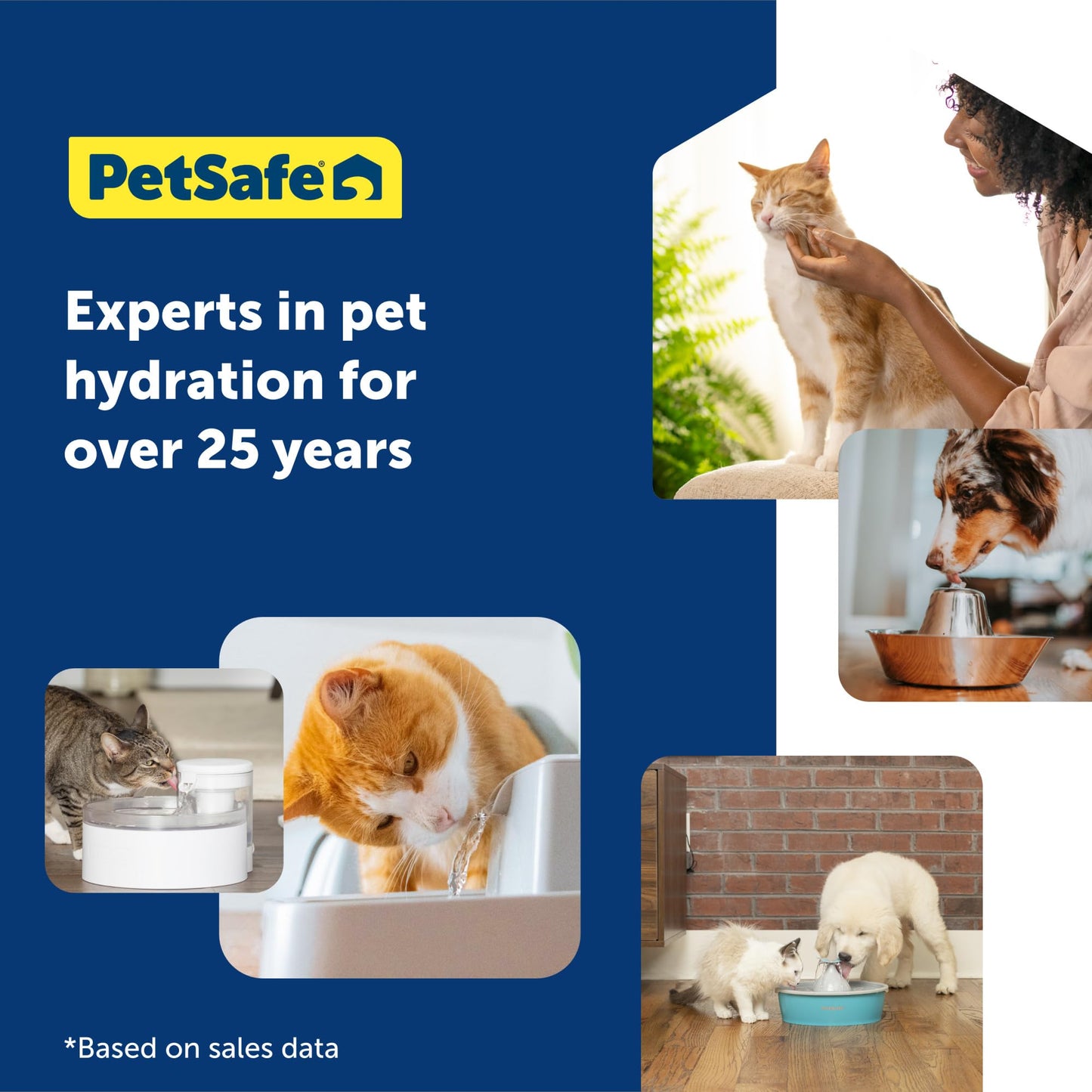 PetSafe ScoopFree Crystal Litter Tray Refills Lavender Crystals, 3-Pack Disposable Tray Includes Leak Protection & Low Tracking Litter Absorbs Odors on Contact,(PAC00-16689)