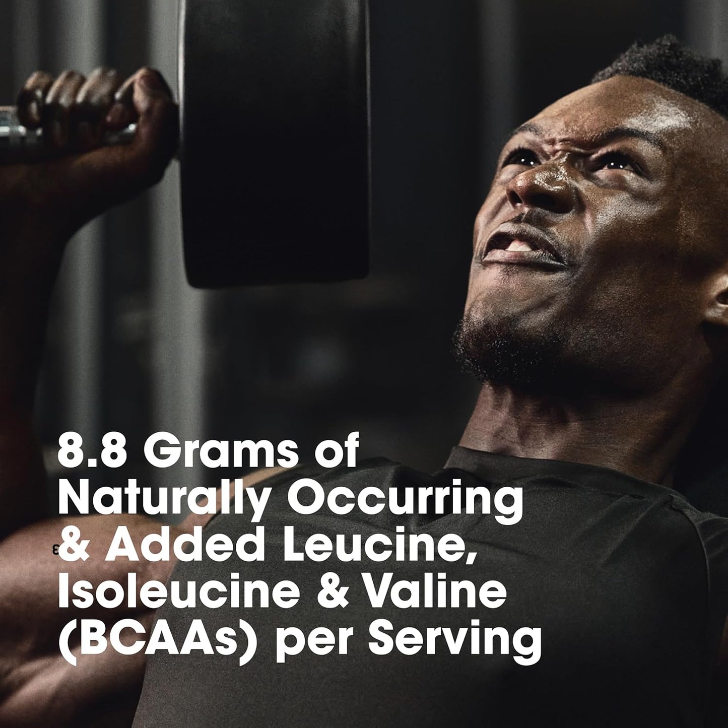 OPTIMUM NUTRITION Platinum HydroWhey, Turbo Chocolate 3.5lb
