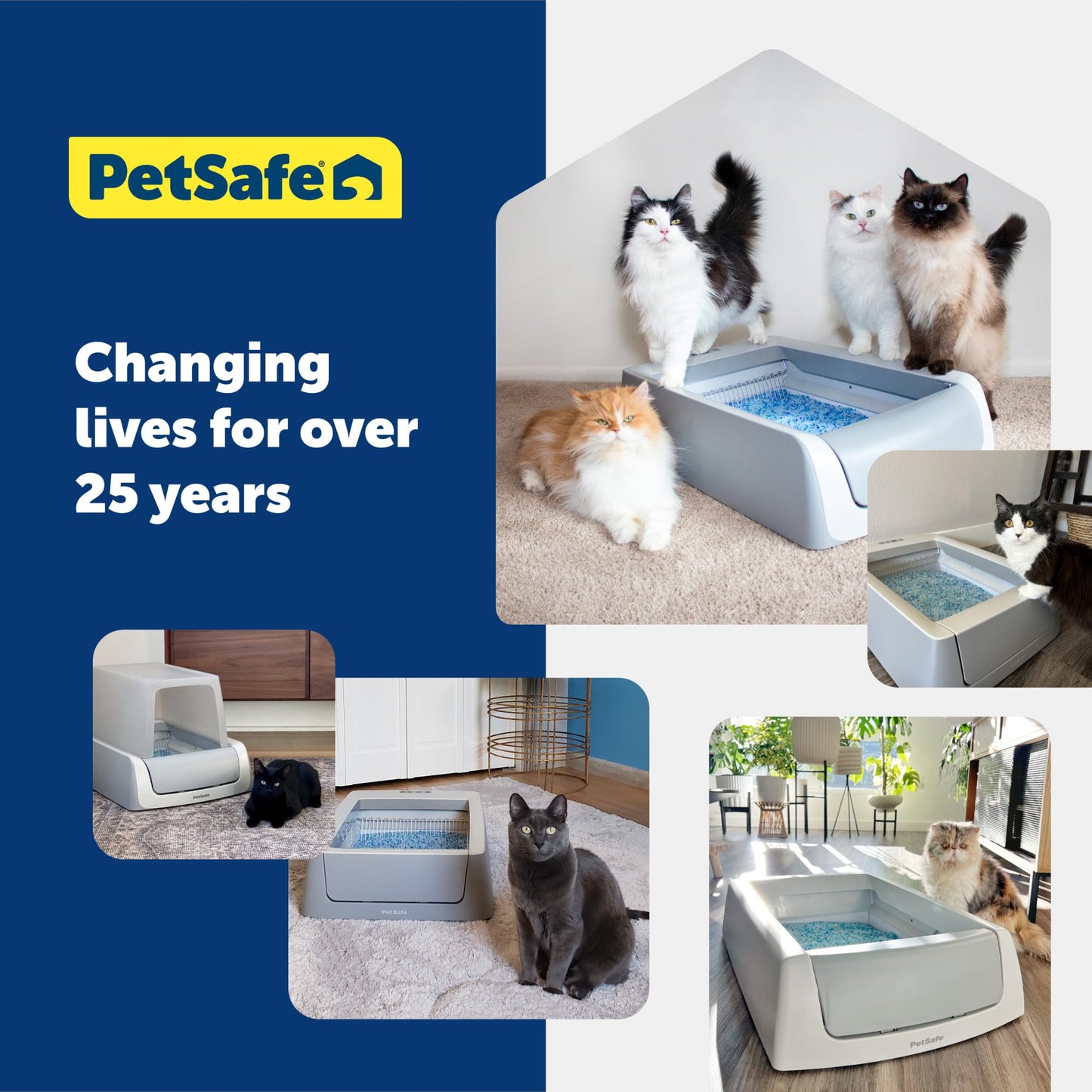 PetSafe ScoopFree Crystal Litter Tray Refills Lavender Crystals, 3-Pack Disposable Tray Includes Leak Protection & Low Tracking Litter Absorbs Odors on Contact,(PAC00-16689)