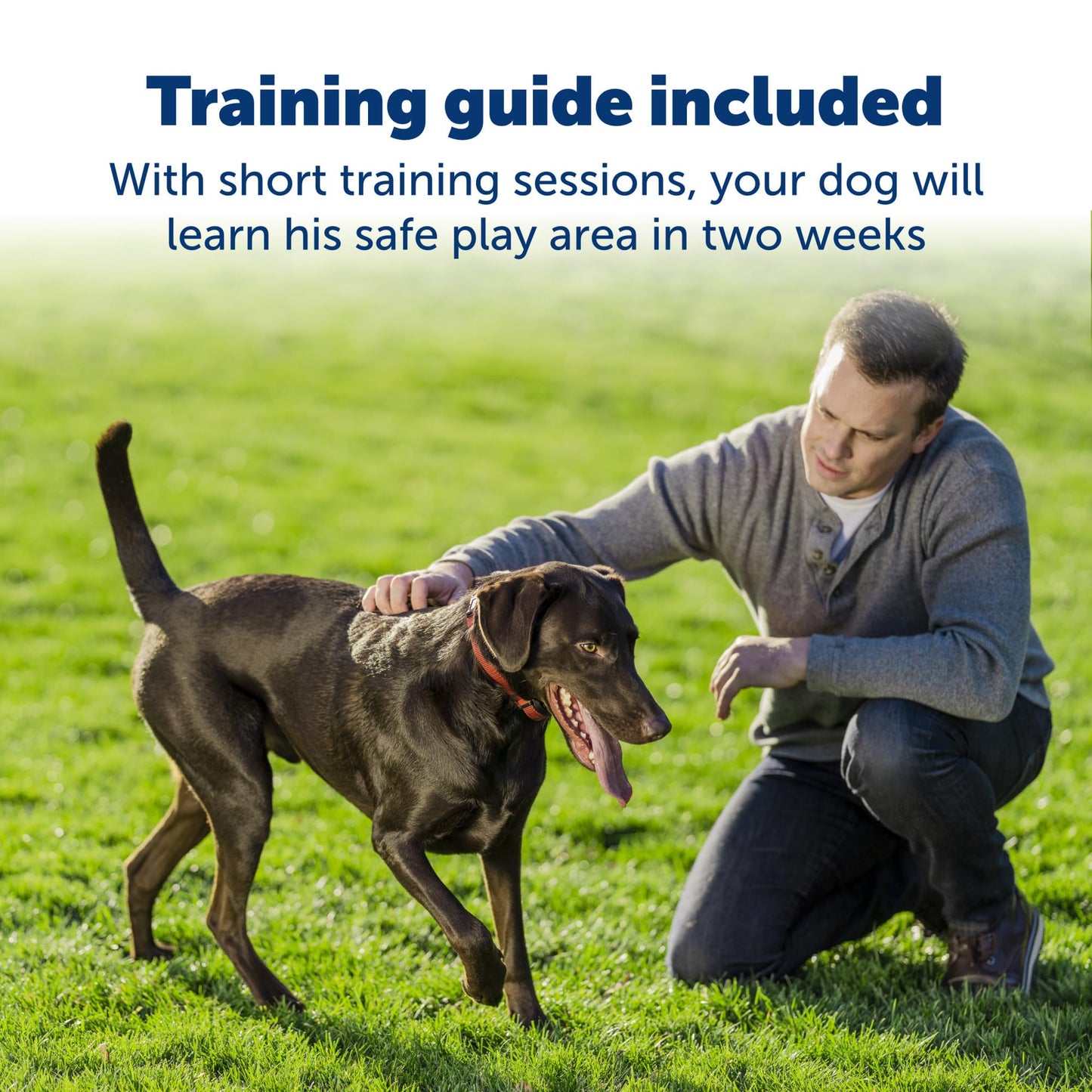 PetSafe Stay and Play Wireless Pet Fence for Stubborn Dogs from The Parent Company of Invisible Fence Brand Above Ground Electric Pet Fence with Waterproof and Rechargeable Training Collar