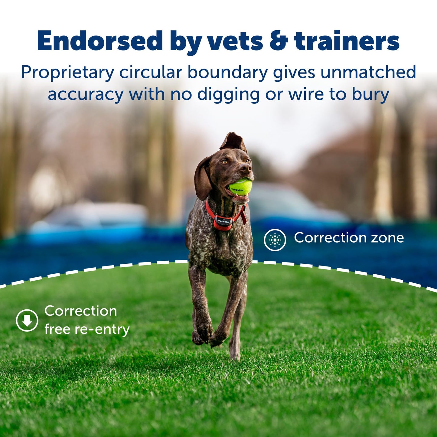 PetSafe Stay and Play Wireless Pet Fence for Stubborn Dogs from The Parent Company of Invisible Fence Brand Above Ground Electric Pet Fence with Waterproof and Rechargeable Training Collar