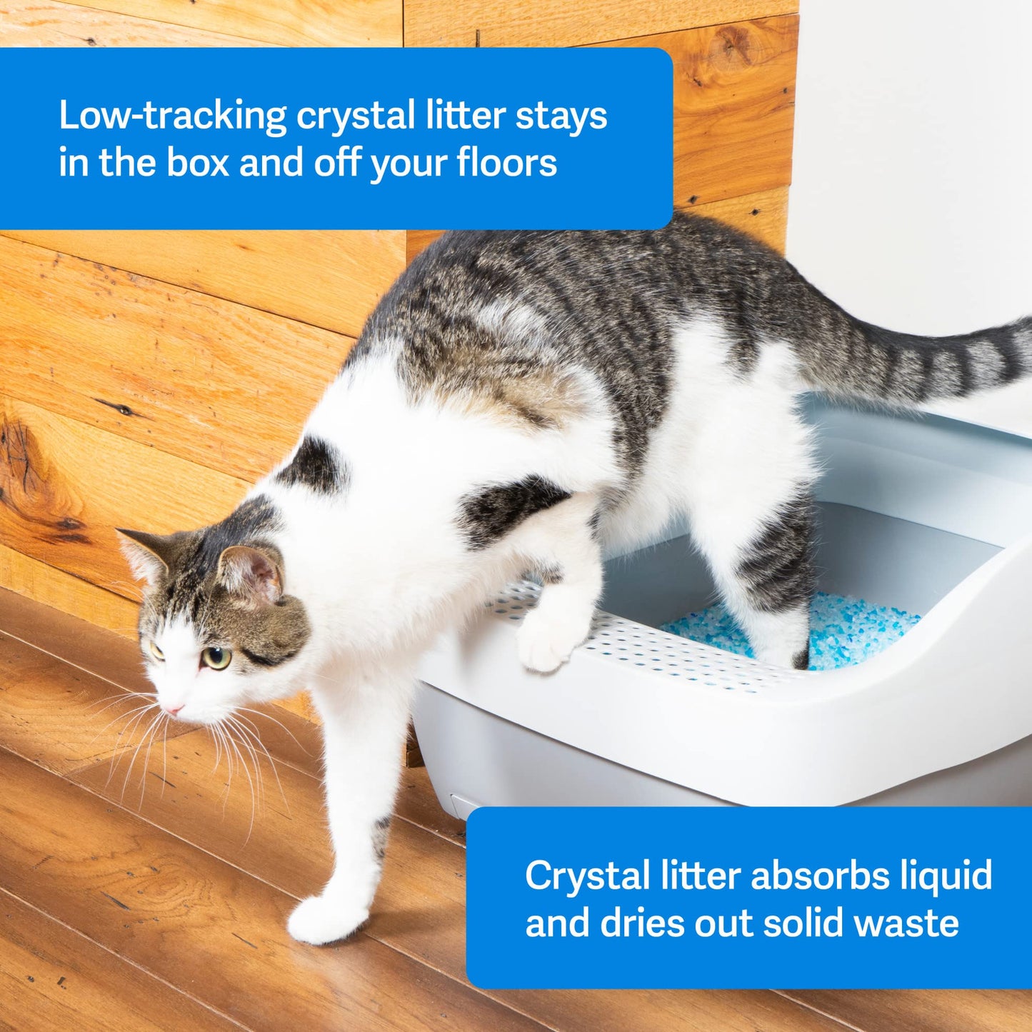 PetSafe ScoopFree Self-Cleaning Cat Litter Box Tray Refills with Premium Blue Non-Clumping Crystals, 3-Pack
