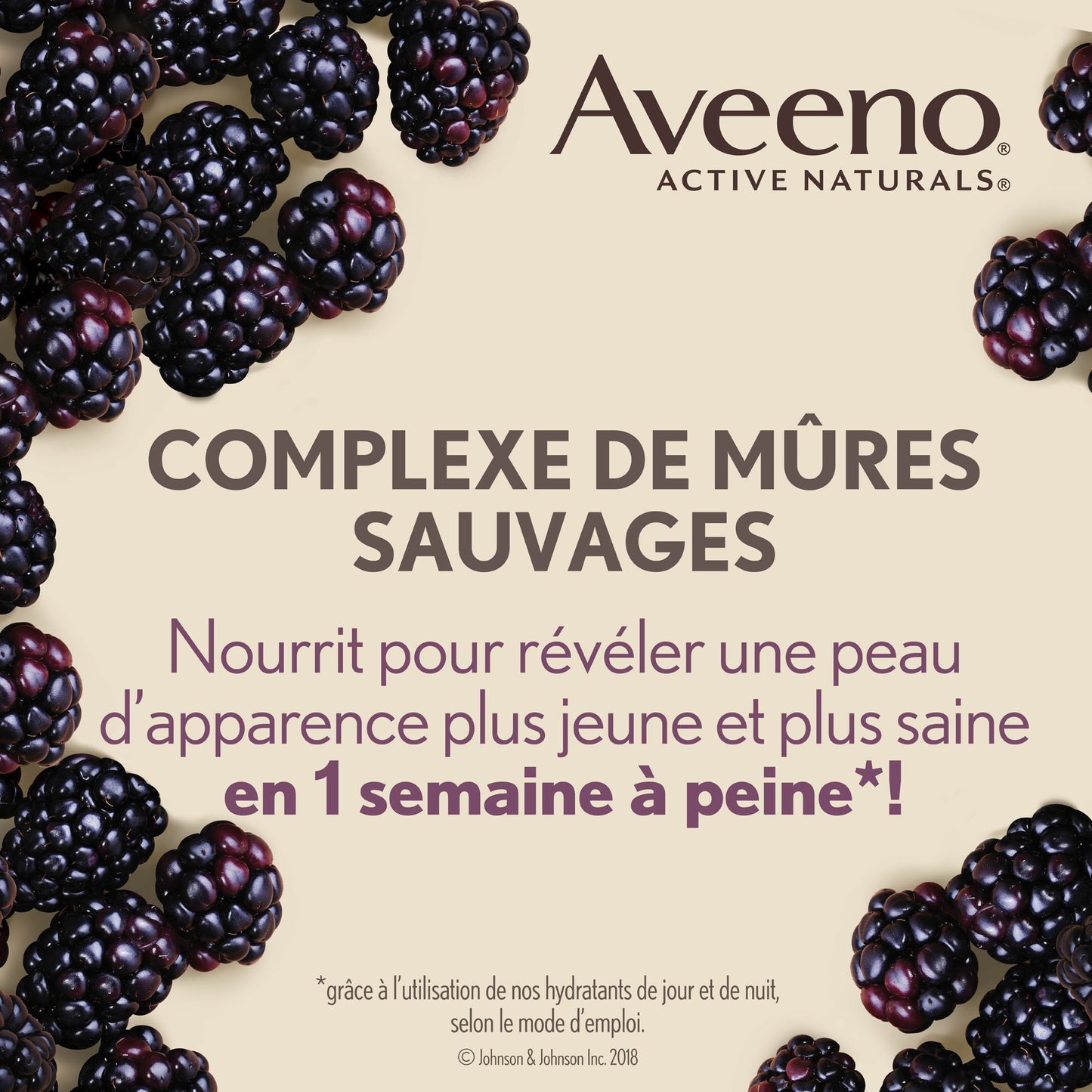 Aveeno Anti Aging Night Cream, Active Naturals Absolutely Ageless Restorative Face Moisturizer for Wrinkles and Fine Lines, Hydrating Lotion with Blackberry Complex, Non-Comedogenic and Hypoallergenic, 48ML