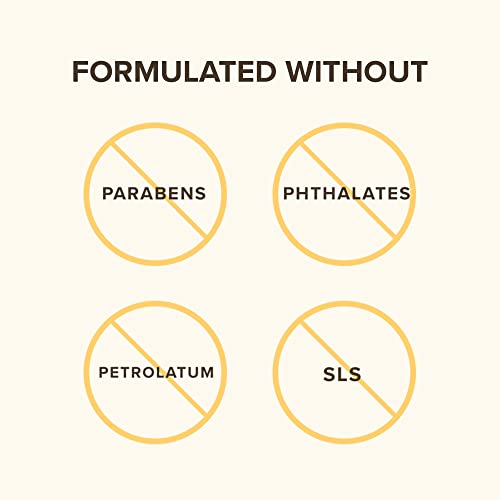 Burt's Bees® Face Cream, Renewal Anti-Wrinkle Moisturizing Face Cream, Holiday Gift, with Bakuchiol Natural Retinol Alternative, 51 g