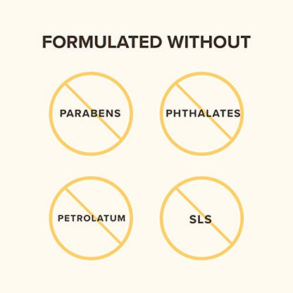 Burt's Bees® Face Cream, Renewal Anti-Wrinkle Moisturizing Face Cream, Holiday Gift, with Bakuchiol Natural Retinol Alternative, 51 g