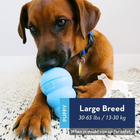 KONG Puppy Toy Natural Teething Rubber -Fun to Chew, Chase & Fetch- For Large Puppies (Color May Vary)