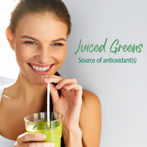 Garden of Life Raw Organic Perfect Food Green Superfood Original 207 gram."Raw Organic Perfect Food is packed with 40 nutrient-dense ingredients, including freshly harvested greens that are low-temperature dried to lock in nutrition, along with sprouts, f