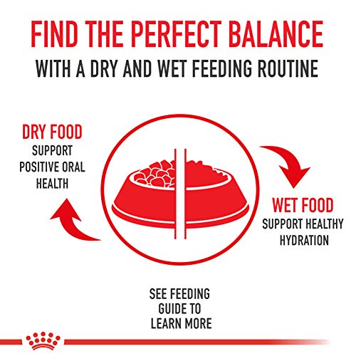 Royal Canin Feline Health Nutrition Indoor Adult Dry Cat Food 3 Lb
