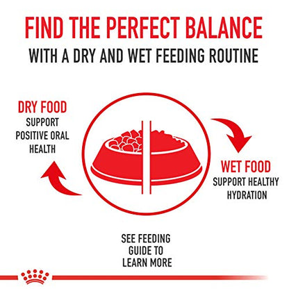 Royal Canin Feline Health Nutrition Indoor Adult Dry Cat Food 3 Lb