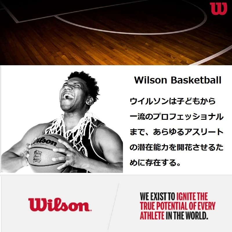 WILSON Ballons de basketball intérieur/extérieur série NBA Forge