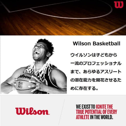 WILSON Ballons de basketball intérieur/extérieur série NBA Forge