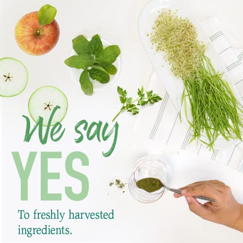 Garden of Life Raw Organic Perfect Food Green Superfood Original 207 gram."Raw Organic Perfect Food is packed with 40 nutrient-dense ingredients, including freshly harvested greens that are low-temperature dried to lock in nutrition, along with sprouts, f