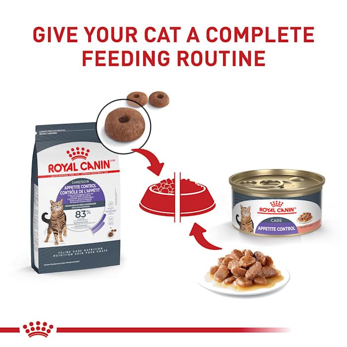 Royal Canin Feline Health Nutrition Spayed/Neutered Appetite Control Dry Cat Food, 2.5-Pound