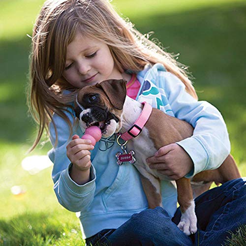 KONG Puppy Toy Natural Teething Rubber -Fun to Chew, Chase & Fetch- For Large Puppies (Color May Vary)