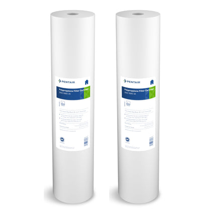 Pentair Pentek DGD-5005-20 Big Blue Water Filter, 20-Inch Whole House Sediment Filter Cartridge Replacement, Dual-Gradient Density Spun Polypropylene, 20" x 4.5", 5 Micron, (Pack of 2), White