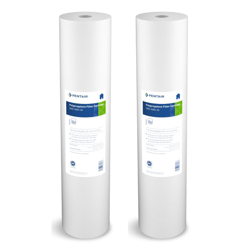 Pentair Pentek DGD-5005-20 Big Blue Water Filter, 20-Inch Whole House Sediment Filter Cartridge Replacement, Dual-Gradient Density Spun Polypropylene, 20" x 4.5", 5 Micron, (Pack of 2), White