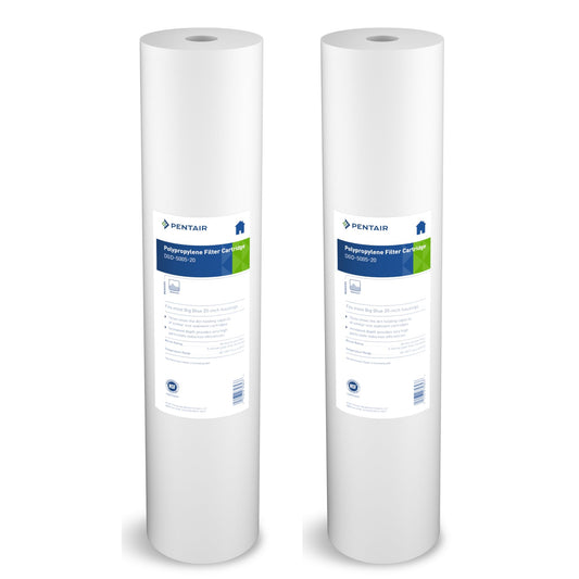Pentair Pentek DGD-5005-20 Big Blue Water Filter, 20-Inch Whole House Sediment Filter Cartridge Replacement, Dual-Gradient Density Spun Polypropylene, 20" x 4.5", 5 Micron, (Pack of 2), White
