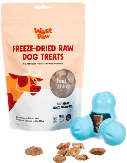West Paw Zogoflex Tux Interactive Treat Dispensing Dog Chew Toy for Aggressive Chewers, 100% Guaranteed Tough, It Floats!, Made in USA, Small, Aqua