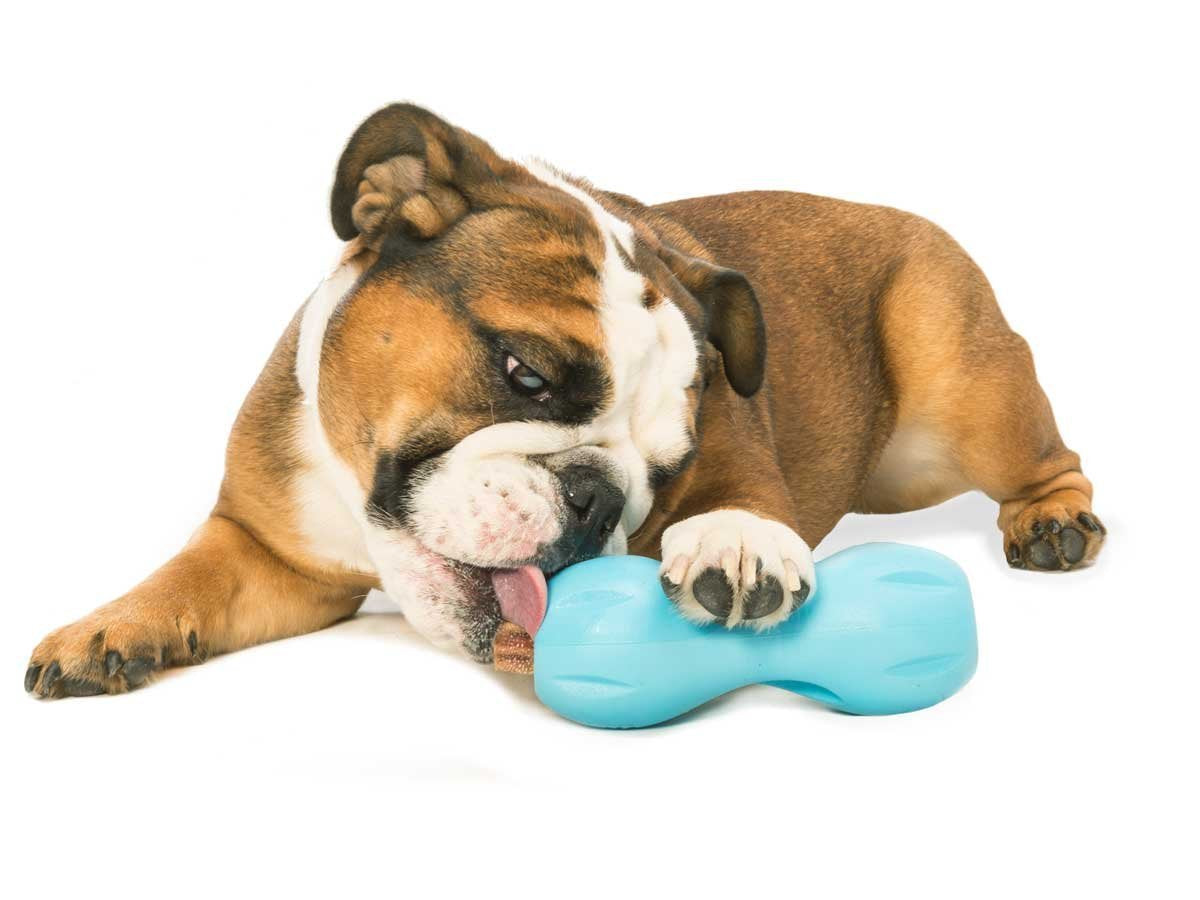 West Paw Zogoflex Qwizl Dog Puzzle Treat Toy Interactive Chew Toy for Dogs Dispenses Pet Treats Brightly-Colored Dog Puzzles for Aggressive Chewers, Fetch, Catch, Non-Toxic Small 5.5 inch , Tangerine