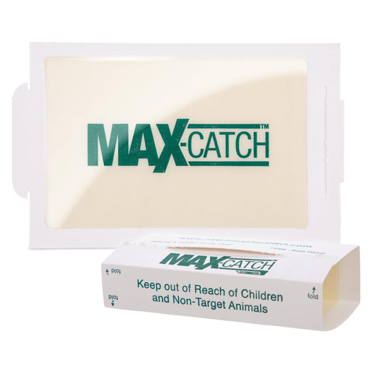Pest Glue Trap by Catchmaster - 36 Boards Pre-Baited, Ready to Use Indoors. Rodent Mouse Rat Insect Sticky Adhesive Simple Easy Simple Non-Toxic - Made in The USA
