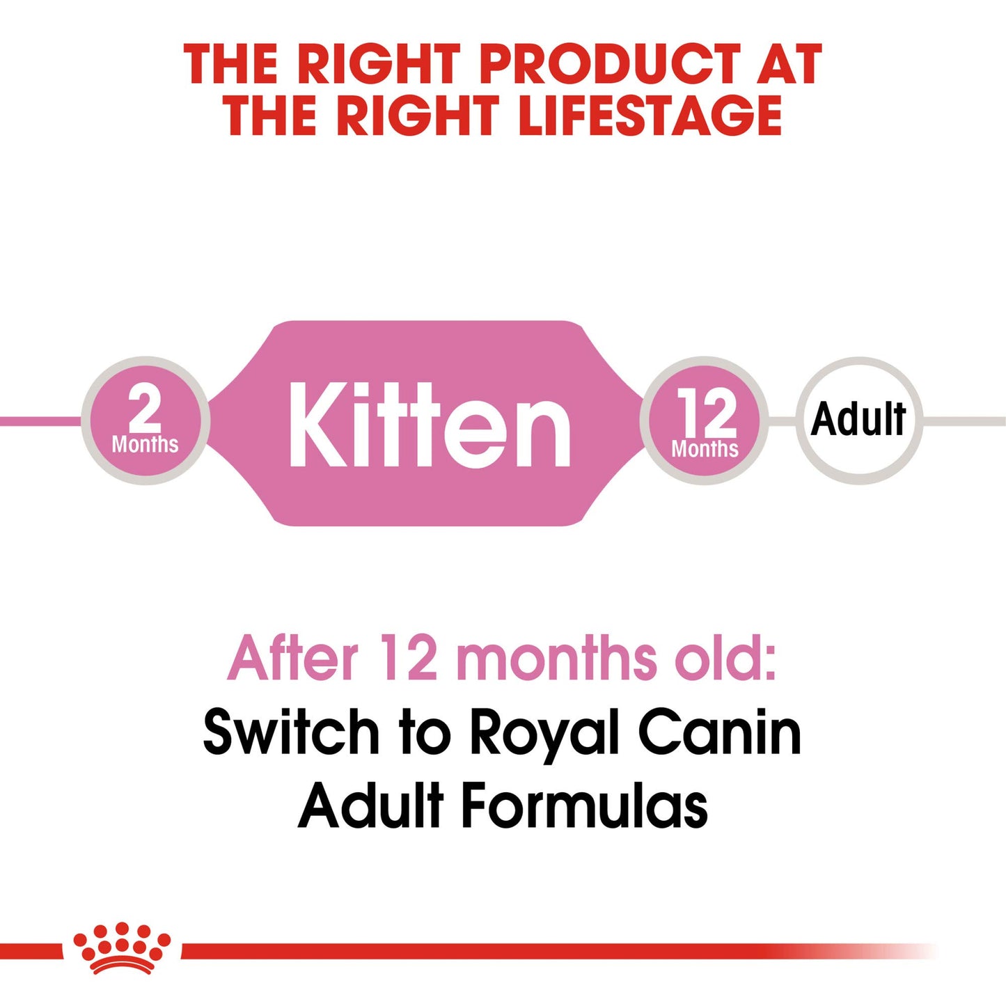 Royal Canin Feline Health Nutrition Dry Food for Young Kittens, 3.5 Pound Bag