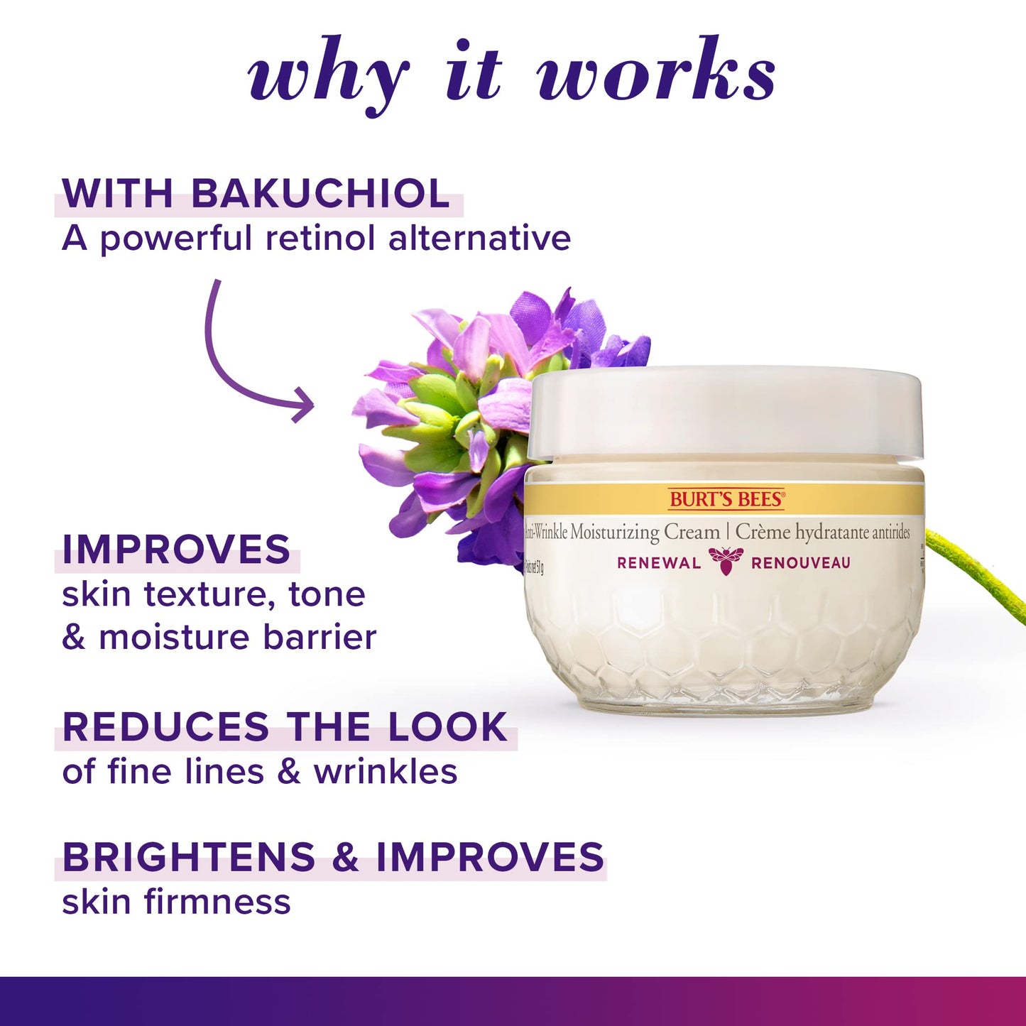 Burt's Bees® Face Cream, Renewal Anti-Wrinkle Moisturizing Face Cream, Holiday Gift, with Bakuchiol Natural Retinol Alternative, 51 g