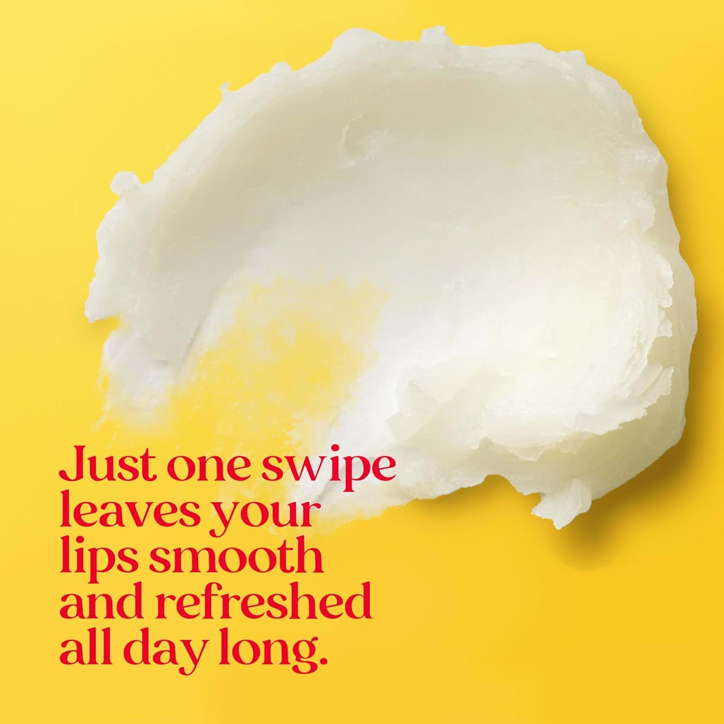 Burt's Bees Moisturizing Lip Balm for Dry Lips 100% Natural Origin, Pomegranate - 2 Tubes