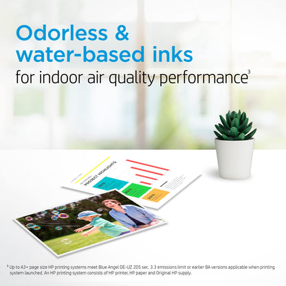 Original HP 65XL Black High-yield Ink Cartridge | Works with HP AMP 100 Series, HP DeskJet 2600, 3700 Series, HP ENVY 5000 Series | Eligible for Instant Ink | N9K04AN
