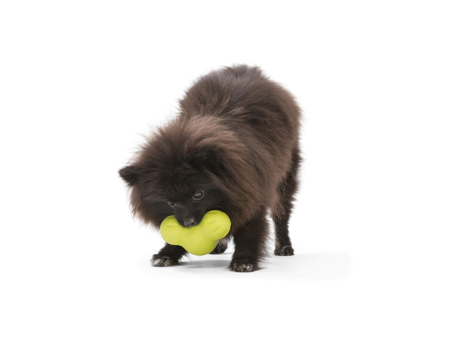 West Paw Zogoflex Tux Interactive Treat Dispensing Dog Chew Toy for Aggressive Chewers, 100% Guaranteed Tough, It Floats!, Made in USA, Small, Aqua