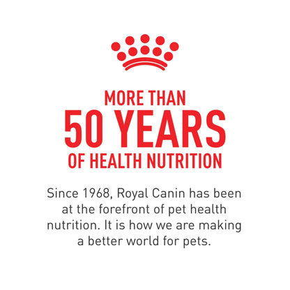 Royal Canin Feline Health Nutrition Aging 12+ Loaf in Sauce Canned Cat Food, 5.8-Ounce, 24-Pack