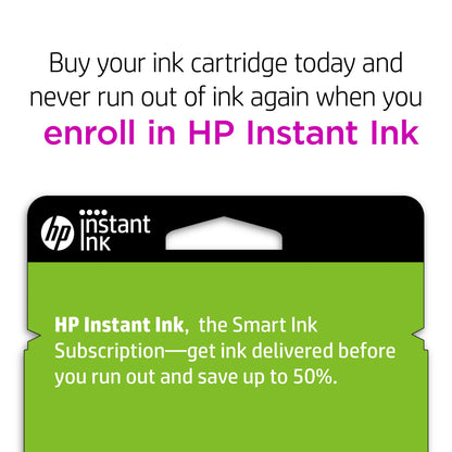 Original HP 65XL Black High-yield Ink Cartridge | Works with HP AMP 100 Series, HP DeskJet 2600, 3700 Series, HP ENVY 5000 Series | Eligible for Instant Ink | N9K04AN