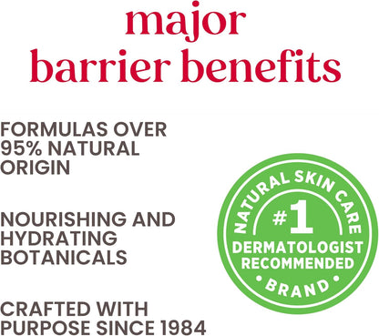 Burt's Bees Moisturizing Lip Balm for Dry Lips 100% Natural Origin, Pomegranate - 2 Tubes