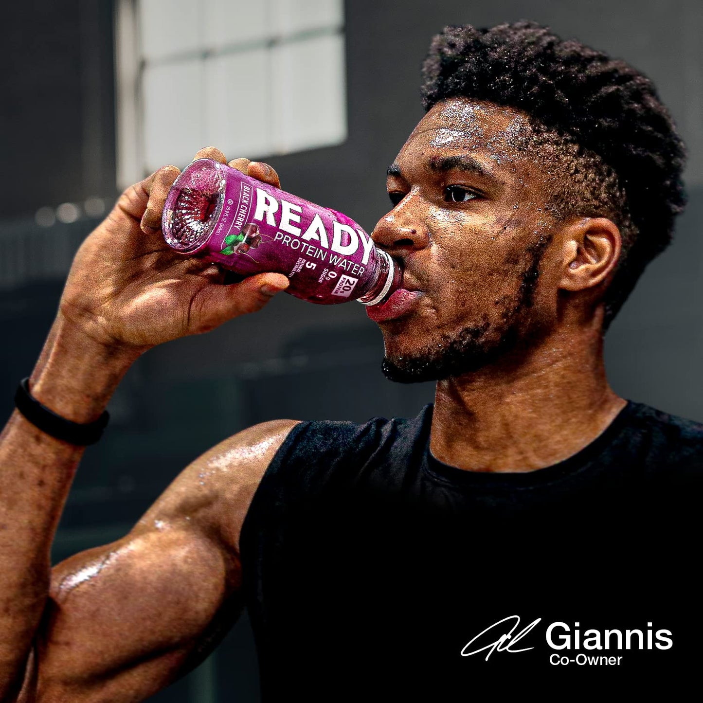 Ready Protein Water, 20g of Whey Protein Isolate, Sugar Free, Black Cherry, 12-Pack, 16.9 Fluid Ounces Each