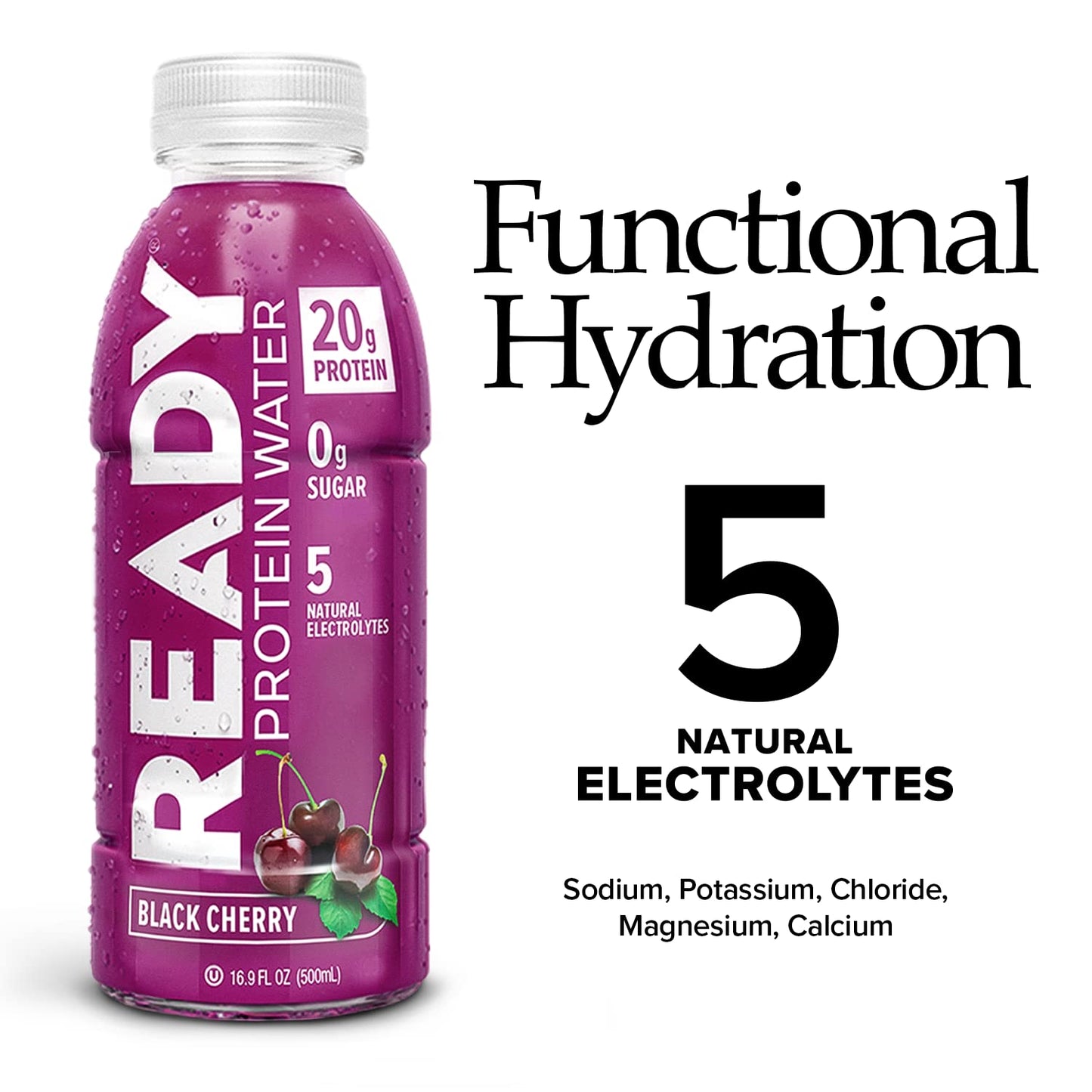 Ready Protein Water, 20g of Whey Protein Isolate, Sugar Free, Black Cherry, 12-Pack, 16.9 Fluid Ounces Each