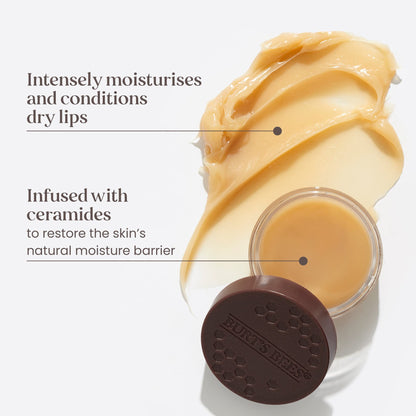Burt's Bees Overnight Intensive Lip Treatment For Dry, Chapped and Cracked Lips, Ultra-Conditioning Lip Care, 100% Natural 7.08g
