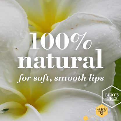 Burt's Bees Hydrating Lip Balm for Dry Chapped and Cracked Lips 100% Natural Origin, Ultra Conditioning with Kokum Butter, Shea Butter, and Cocoa Butter, Unscented, 2 Tubes