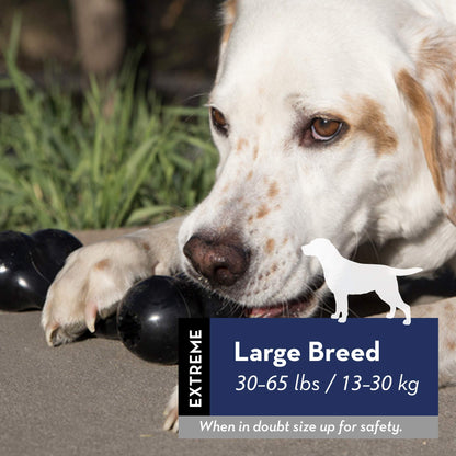 KONG Extreme Goodie Bone™ - Durable Rubber Dog Bone for Power Chewers, Black - For Medium Dogs
