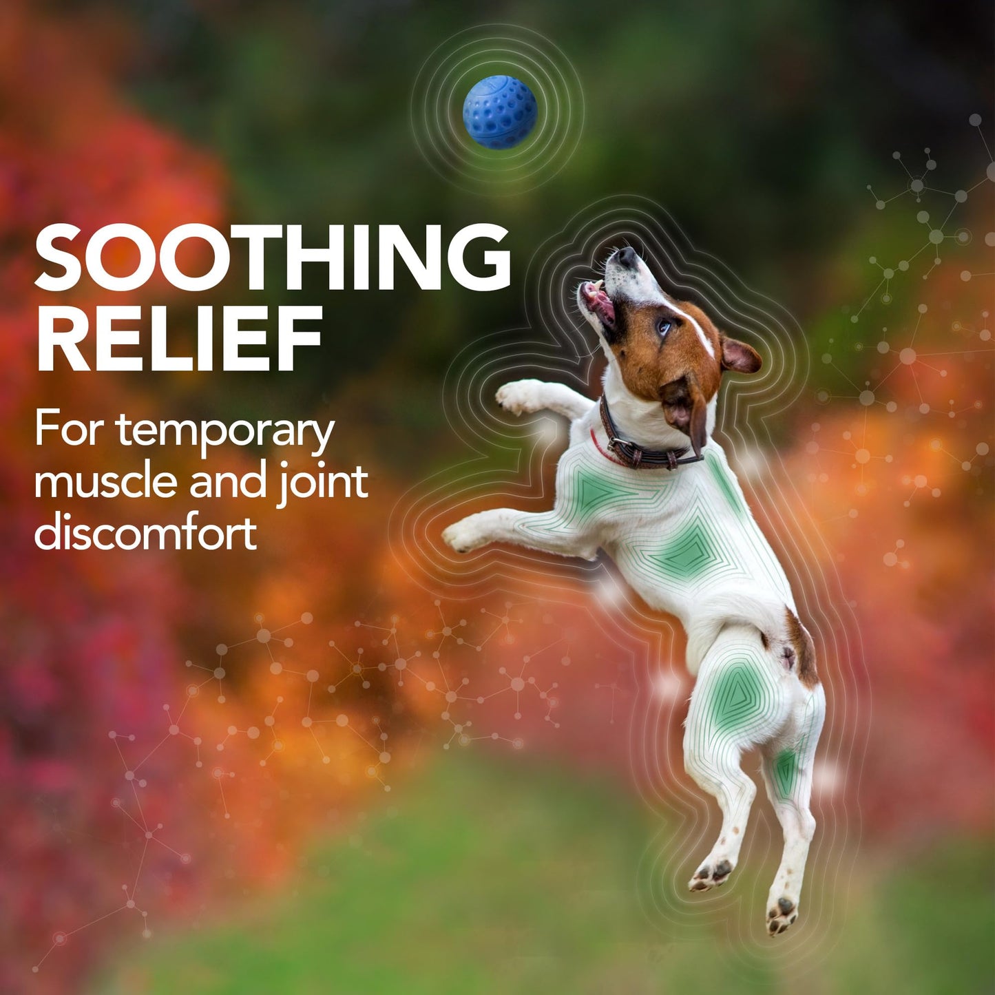 Vet’s Best Aspirin Free Aches + Pains Dog Supplement | Vet Formulated for Dog Pain Support and Joint Relief | 50 Chewable Tablets
