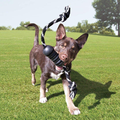 KONG Extreme Dental Dog Toy - for Dental Care - Stuffable Chew Toy - Provides Chewing Outlet - Cleans Teeth & Gums - Made Most Durable Natural Rubber - for Large Dogs