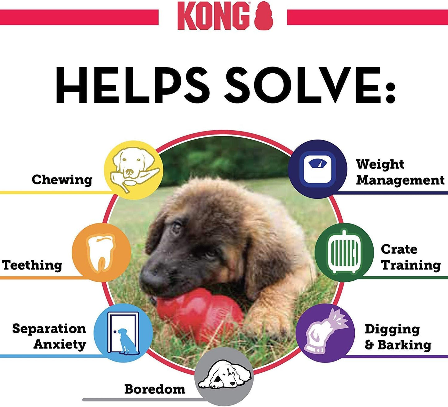 (3 Pack) Kong Small Puppy Kongs
