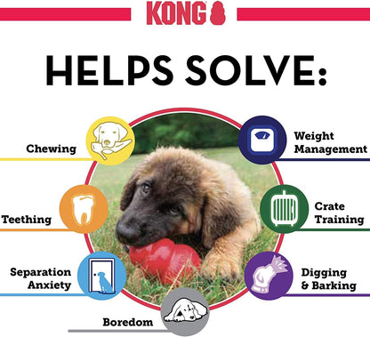 (3 Pack) Kong Small Puppy Kongs