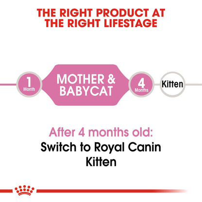 ROYAL CANIN Feline Health Nutrition Mother & Babycat Dry cat Food, 3.5-Pound