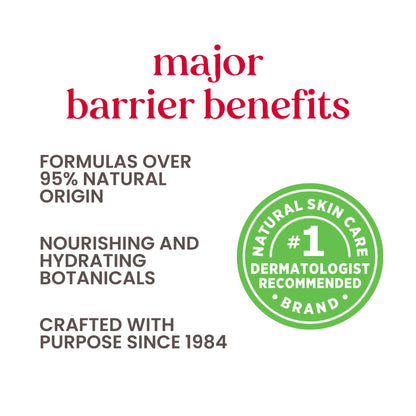 Burt's Bees 100% Natural Origin Goodness Glows Miracle Balm, softens Dry Skin -17g Tin, 1 Count