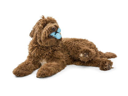 West Paw Zogoflex Tux Interactive Treat Dispensing Dog Chew Toy for Aggressive Chewers, 100% Guaranteed Tough, It Floats!, Made in USA, Small, Aqua