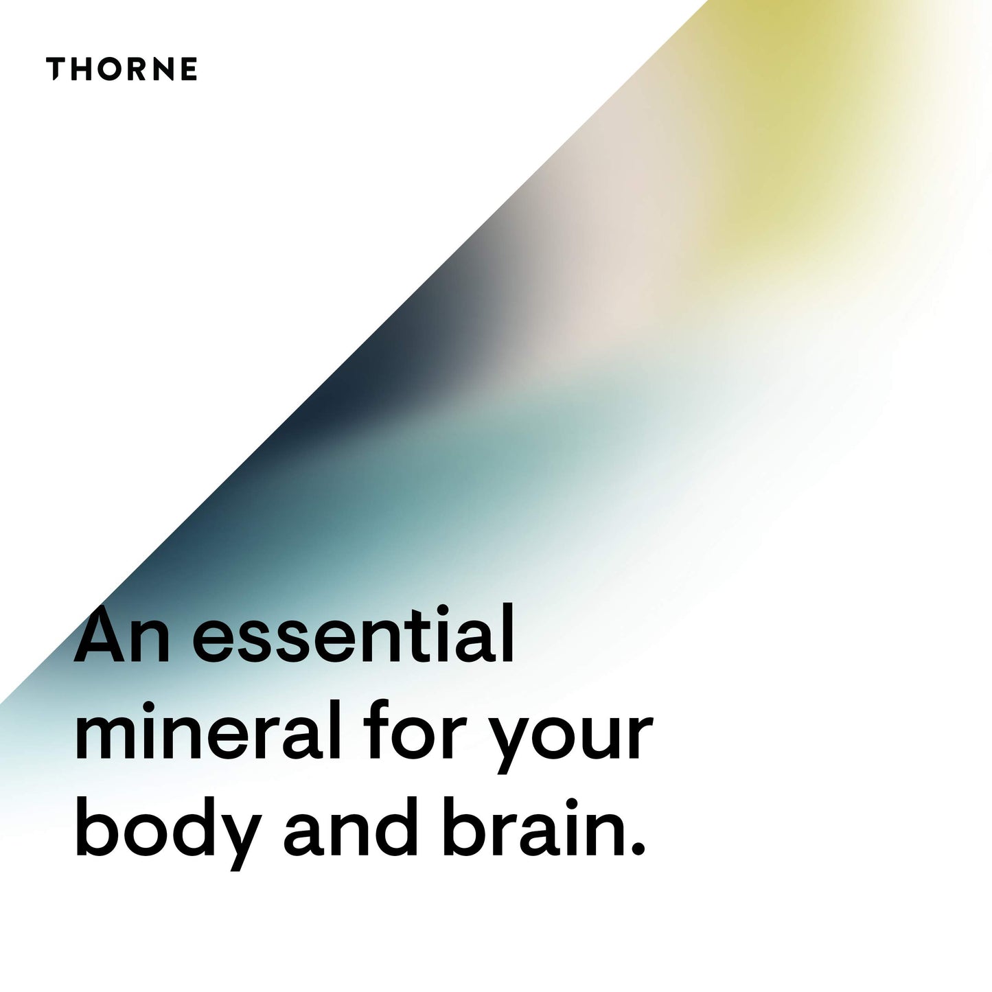 Thorne Magnesium Citramate - Magnesium with Citrate-Malate to Support Energy Production, Heart and Lung Function, and Metabolism of Sugar and Carbs - 90 Capsules - 90 Servings